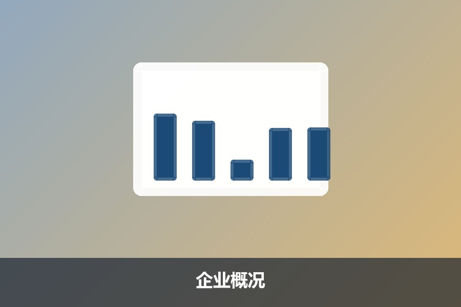 企业概况